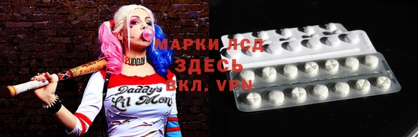 ECSTASY Богородицк