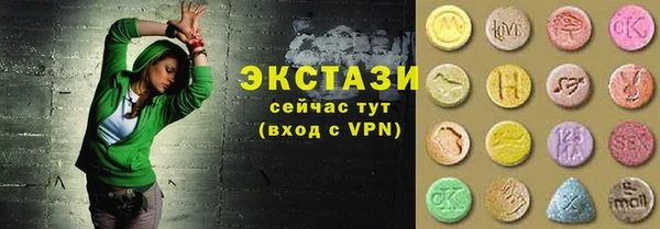 ECSTASY Богородицк